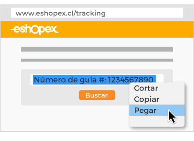 Tracking eShopex